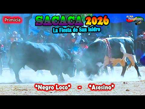 La fiesta de San Isidro SACACA 2026 T2, "Asesino-Negro Loco". Video Oficial de ALPRO BO.