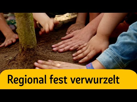 A Streuobstwiese Regional da REWE