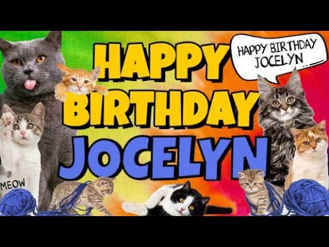 Happy Birthday Jocelyn! Crazy Cats Say Happy Birthday Jocelyn (Very Funny)
