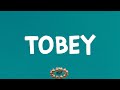 Eminem Tobey Lyrics Feat Big Sean Babytron