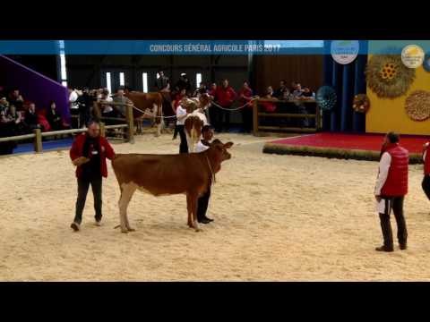 Voir la vidéo : Ring de présentation du 26 février 2017, apres-midi