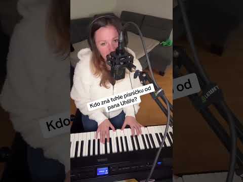 J. Uhlíř a Z. Svěrák - Mokré plavky