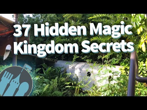 37 Hidden Secrets in Disney World's Magic Kingdom!