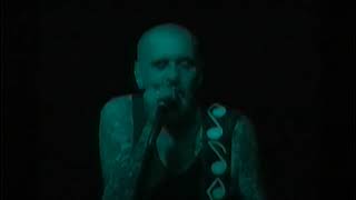 Blues Pirates - It&#39;s a Jungle Out There (official music video)