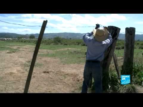 São Félix Do Xingu: a striking example of forest protection