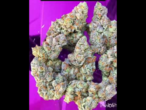 Cannabis Grow Bust Buy Build Bud Bank