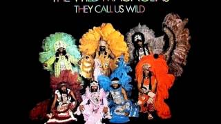 The Wild Magnolias - Ho Na Nae (drumbreak)
