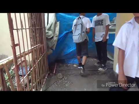 Life is better with friends