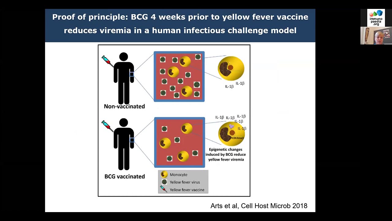 SAIS/Immunopaedia Webinar on BCG & COVID-19