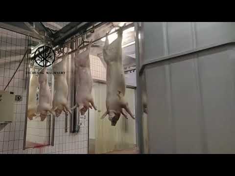 100 Pigs Every Day Abattoir Line Pork Singeing Furnace Standard Swine Meat Slaughtering Equipment