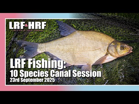 LRF Fishing: 10 Species Canal Session