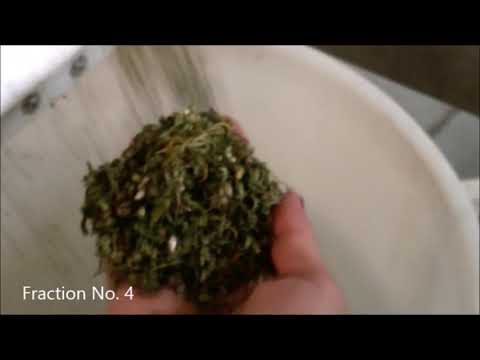 LGU 304 - herb processing - cannabis