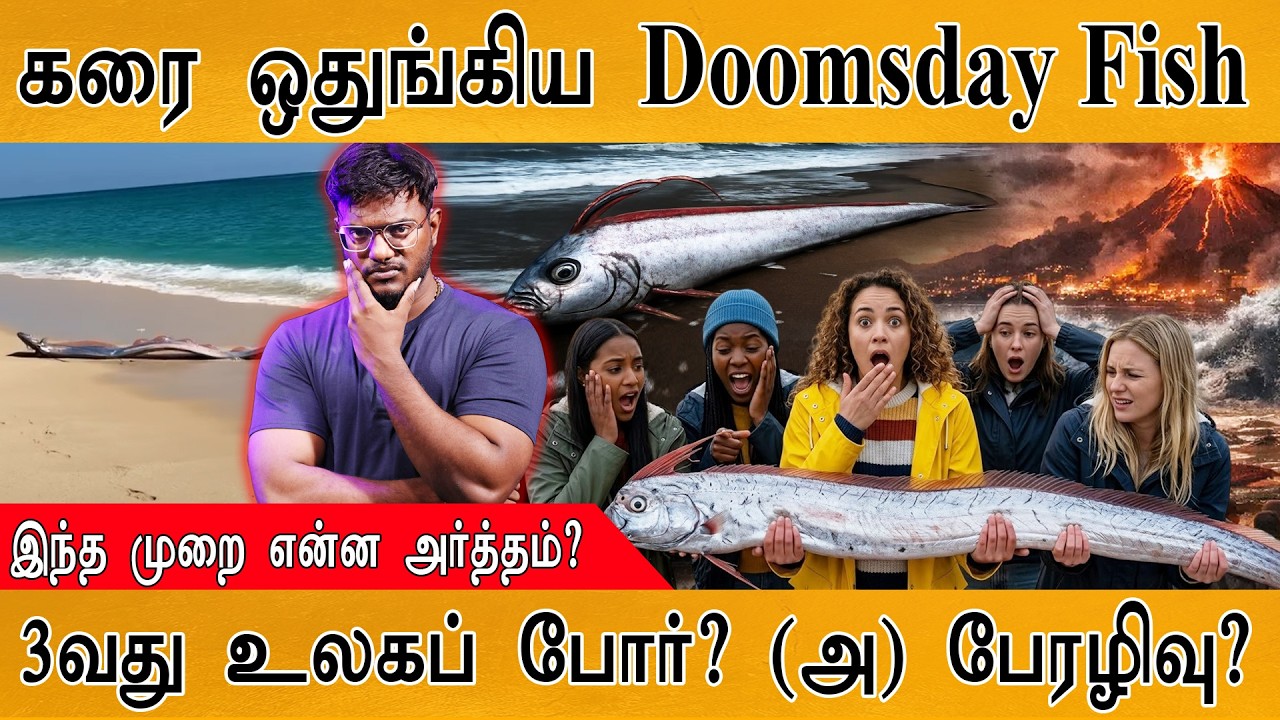 🐟Doomsday Fish மீண்டும் கரை ஒதுங்கியதால் பரபரப்பு | Rare Oarfish Found | Ir