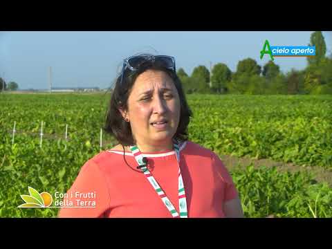 A Cielo Aperto 21/8/2022 - 2° parte