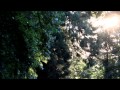 LE MANS CLASSIC 2014 (Practical Classics Full Edit)