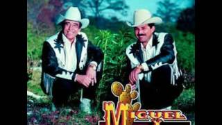 Cariño nuevo miguel y miguel