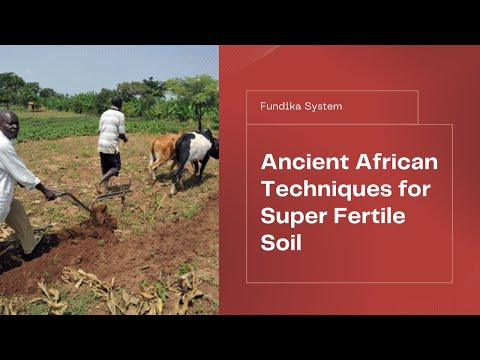 The Fundika System of Agriculture: Ancient African Farming Secret Makes Modern Soil SUPER Fertile!