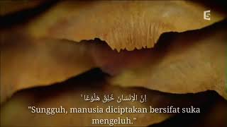 Download lagu Story wa suraah al maarij ayat 19-26 mp3