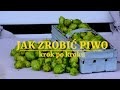 jak zrobić piwo domowe instrukcja warzenia