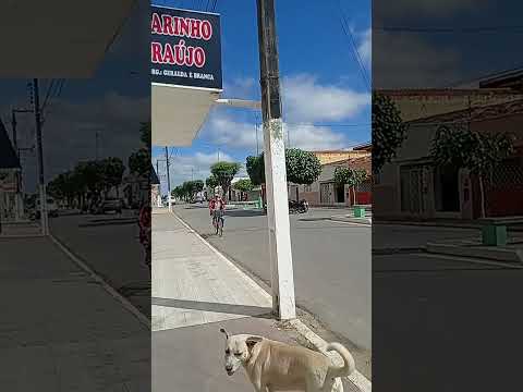 nova floresta paraíba