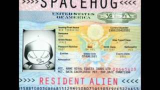 Spacehog - was it likely