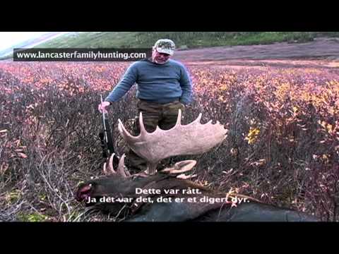 Hunting moose with Bart Lancaster in B.C. Canada, good killscene.