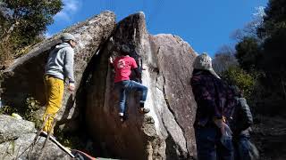 豊田 キバル e(1D)