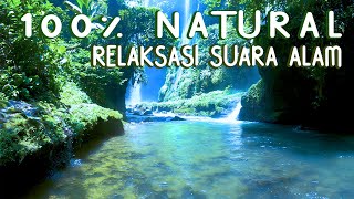 Download lagu RELAXATION OF NATURAL SOUNDS OF BIRDS AND WATERFALLS SOUNDS IN THE FOREST mp3