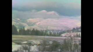 In the Dead of Winter