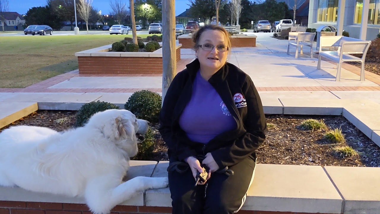 Tip Top K9 Reviews | Tulsa Dog Board and Train | Tip Top K9 | Cindy