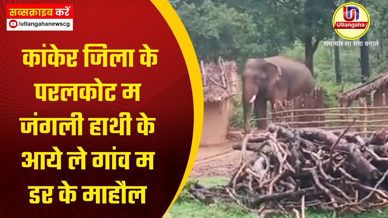 कांकेर जिला के परलकोट म जंगली हाथी के आये ले गांव म डर के माहौल