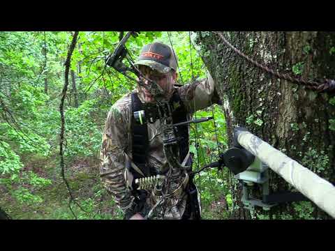 Habit Fall Adrenaline Ad