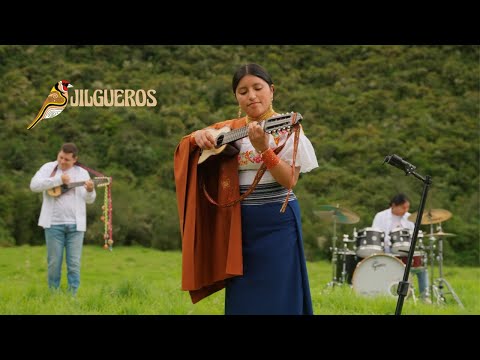 Jilgueros - Falso Amor (Official Video)