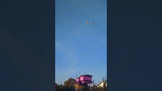 Download lagu Merpati kentong surabaya zorro garisno pedange mp3