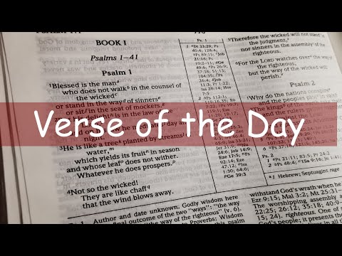 Day 330 26th November 2021