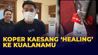 Download lagu Pergi ke Surabaya, Koper Kaesang Pangarep Justru Healing ke Bandara Kualanamu mp3 Download lagu Pergi ke Surabaya, Koper Kaesang Pangarep Justru Healing ke Bandara Kualanamu mp3
