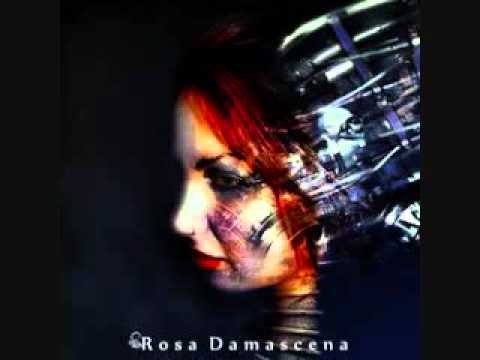 Rosa Damascena - Fairest Few