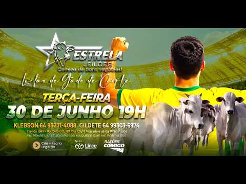 ESTRELA LEILÕES  - AO VIVO - 30/06/2026  -  19H - MORRINHOS - GOIÁS