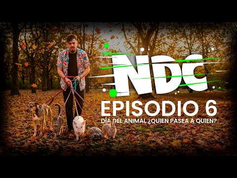 NDC  - Noticias de Carmen de Areco 29/4