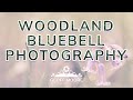 Woodland Bluebell Photography |  Bluebell Macro Photos | Samyang 135mm | Geoff Moore Photography