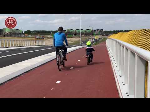 Groote Wielenbrug in 's-Hertogenbosch