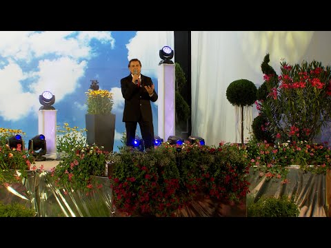 Willy Lempfrecher - Sterne wie Brüder ◦ Bad Füssing ◦ 2019