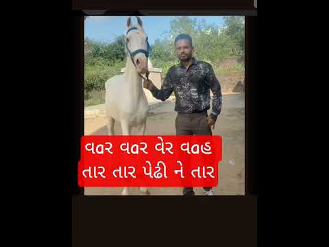 var var vera vah tar tar pedhi ne tar