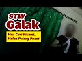 STW GALAK BARU DIBUKA DIOLES DIPIJAT LANGSUNG MENCAK MENCAK
