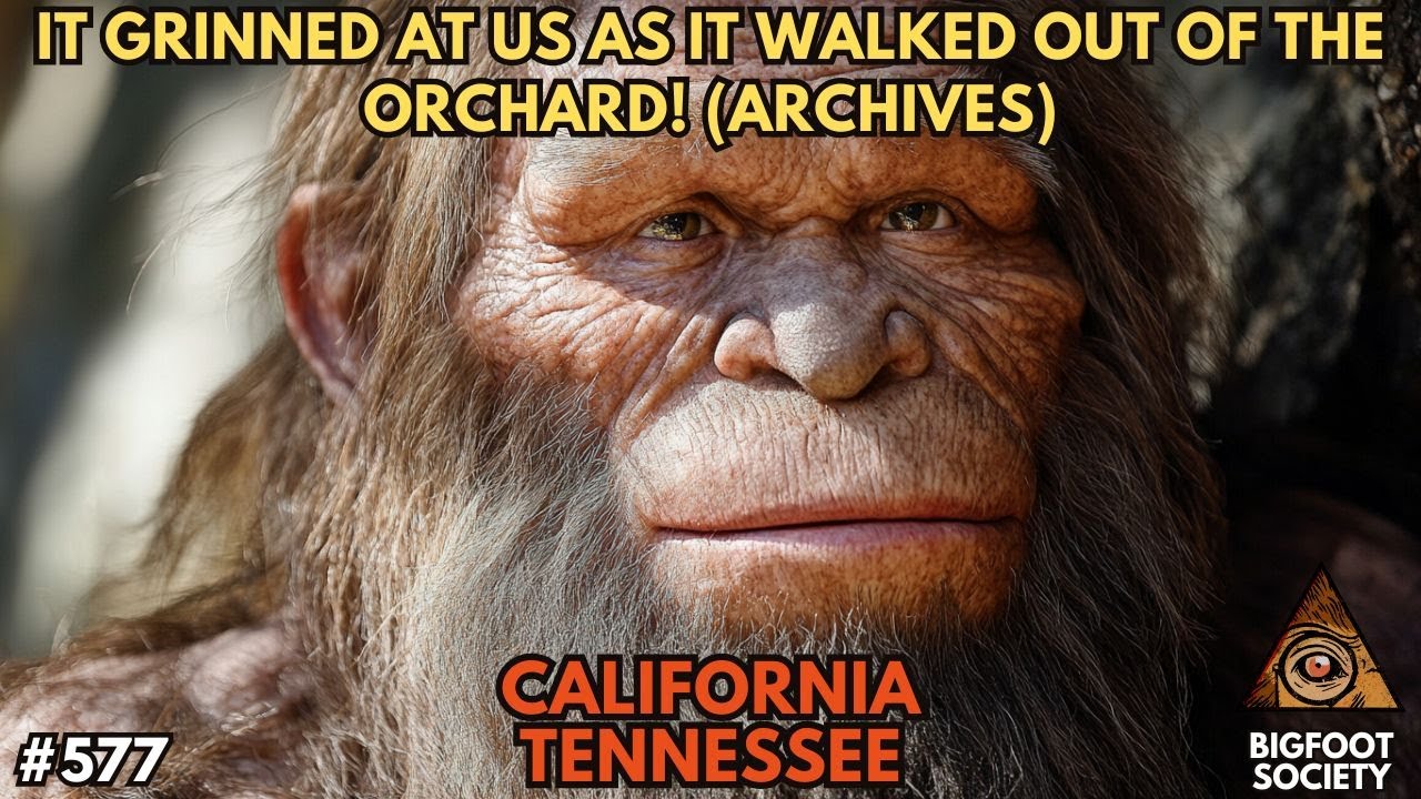 Mr. Black and the Sasquatch (Archive)