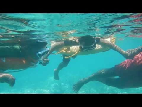 Snorkeling at elephant beach with my kid