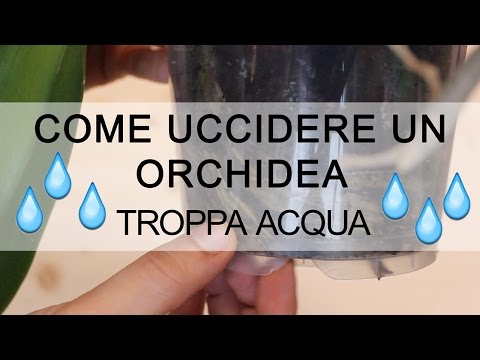 Questo per targhe striscia il piacere Trattamento di parassiti di ubriachezza di organismo