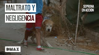 Thumbnail del capítulo