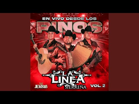 Los Arroyuelos (En vivo)