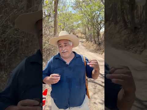 PROYECTO EL SAUCE INAUGURADO POR MADRE DE NAYIB BUKELE